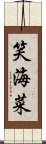 笑海菜 Scroll