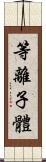 等離子體 Scroll