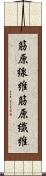 筋原線維 Scroll