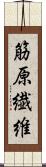 筋原繊維 Scroll