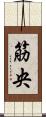 筋央 Scroll