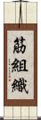 筋組織 Scroll