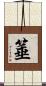 箠 Scroll