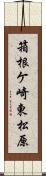 箱根ケ崎東松原 Scroll
