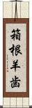 箱根羊歯 Scroll