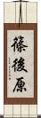 篠後原 Scroll