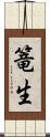 篭生 Scroll