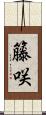 籐咲 Scroll
