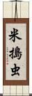 米搗虫 Scroll