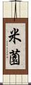 米薗 Scroll