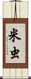 米虫 Scroll