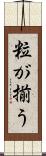 粒が揃う Scroll