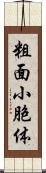 粗面小胞体 Scroll