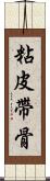 粘皮帶骨 Scroll