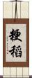 粳稻 Scroll