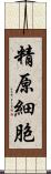 精原細胞 Scroll