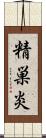 精巣炎 Scroll