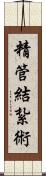 精管結紮術 Scroll