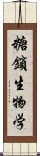 糖鎖生物学 Scroll