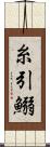 糸引鰯 Scroll