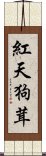 紅天狗茸 Scroll