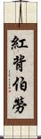 紅背伯勞 Scroll