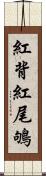 紅背紅尾鴝 Scroll