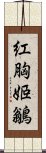 紅胸姬鶲 Scroll