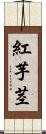 紅芋茎 Scroll