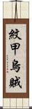 紋甲烏賊 Scroll