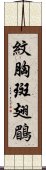 紋胸斑翅鶥 Scroll