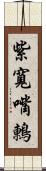 紫寬嘴鶇 Scroll