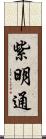 紫明通 Scroll