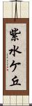 紫水ケ丘 Scroll