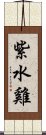 紫水雞 Scroll