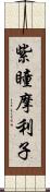 紫瞳摩利子 Scroll