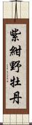 紫紺野牡丹 Scroll