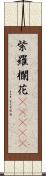 紫羅欄花(ateji) Scroll