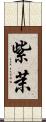 紫茉 Scroll