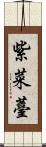 紫菜薹 Scroll