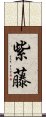 紫藤 Scroll