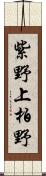 紫野上柏野 Scroll