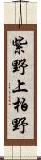 紫野上柏野 Scroll