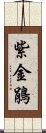 紫金鵑 Scroll