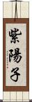 紫陽子 Scroll