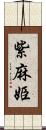 紫麻姫 Scroll