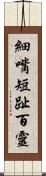 細嘴短趾百靈 Scroll