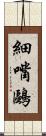 細嘴鷗 Scroll