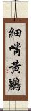 細嘴黃鸝 Scroll