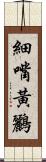 細嘴黃鸝 Scroll